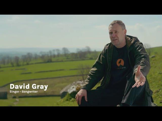 David Gray & Curlew Action, 2025