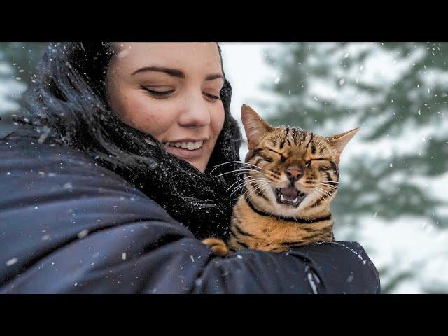 BENGAL CAT reacts to FIRST SNOWFALL!! WE WERE SUPRISED!