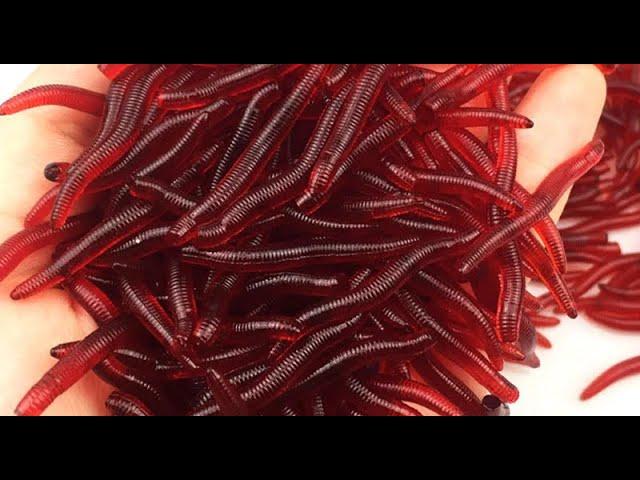 Fishing Lures Artificial Silicone Pesca Lifelike Fishy Smell Red Worms Soft Bait Simulation