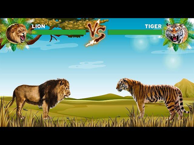 Lion Vs Tiger