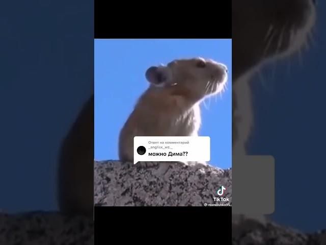 мем про Димо на лайк если ты Дима #мем #Демон