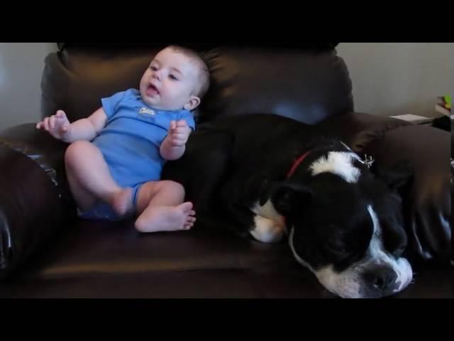 Baby's Fart Surprises Dog