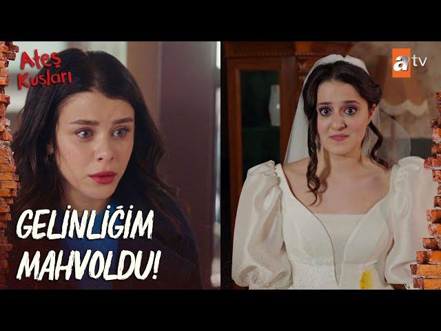 Reyhan, Gülayşe'nin gelinliğini mahvetti! - Ateş Kuşları 44. Bölüm