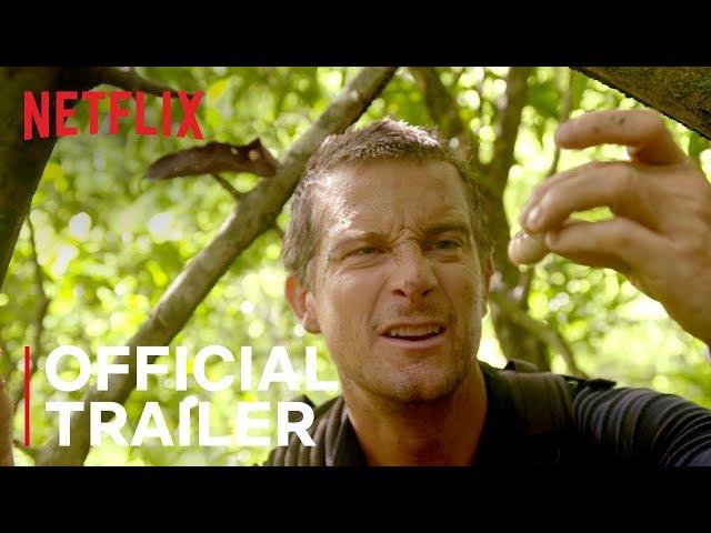 You vs. Wild | Interactive Series ft. Bear Grylls | Official Trailer | Netflix