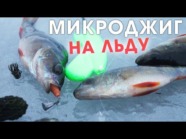 Ловля окуня на микроджиг со льда / зимняя рыбалка в 2021 в Беларуси