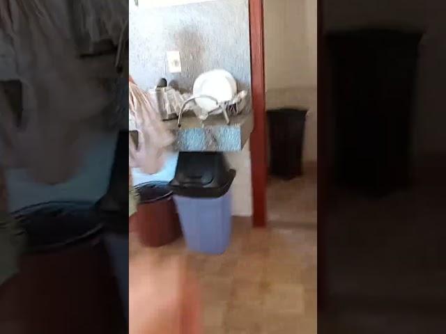 12 de junho de 2025