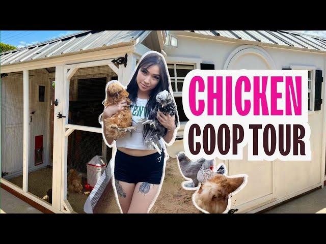 Chicken Coop Tour