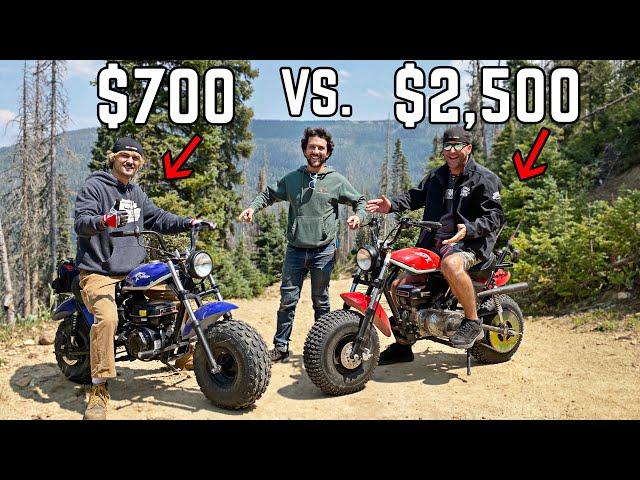 3 Way Mini Bike Comparison from Mild to WILD! 10 - 25 Horsepower SHOWDOWN at 9,000 Feet!