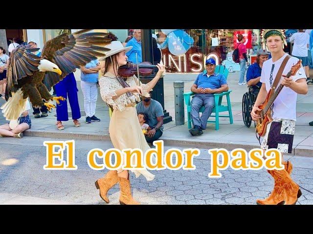 El Condor Pasa - Avelina, Artur Kushnir and MOM- Violin& piano cover