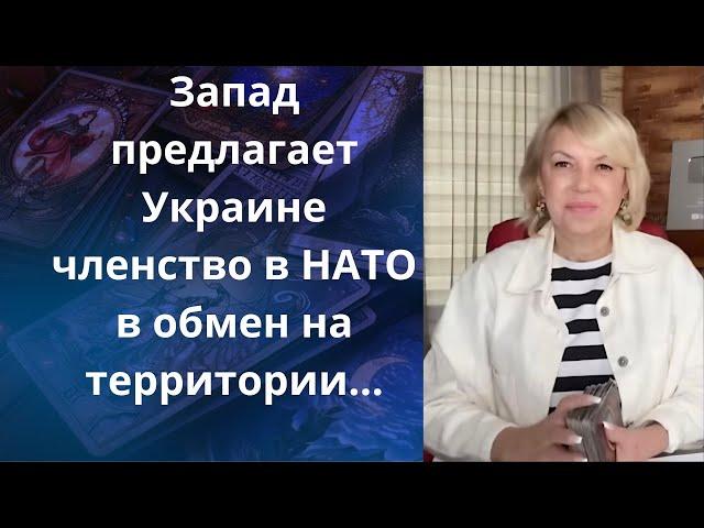  Запад предлагает Украине членство в НАТО... в обмен на территории    Елена Бюн