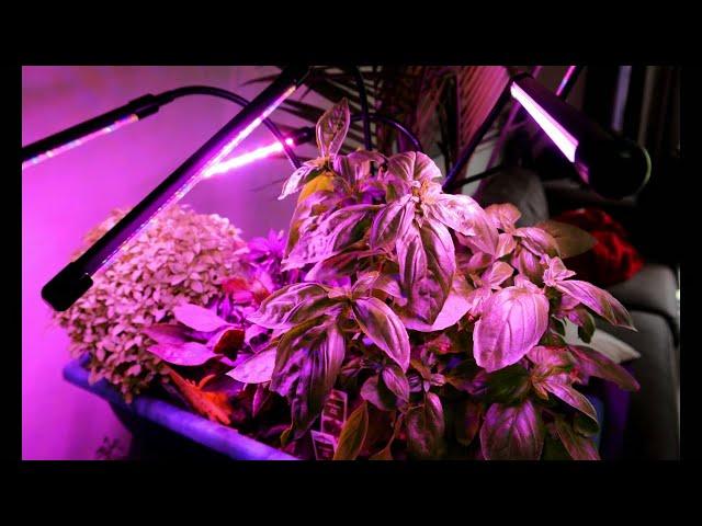 DO THESE EVEN WORK???  AMAZON LED GROW LIGHT UNBOXING AND FULL REVIEW 4K