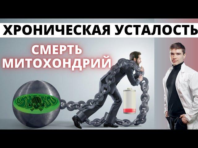 Хроническая усталость, Митохондрии, качество жизни. Не хватает энергии чтобы мыслить и тренироваться