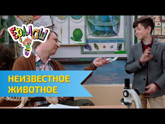 Ералаш Неизвестное животное (Выпуск №320)