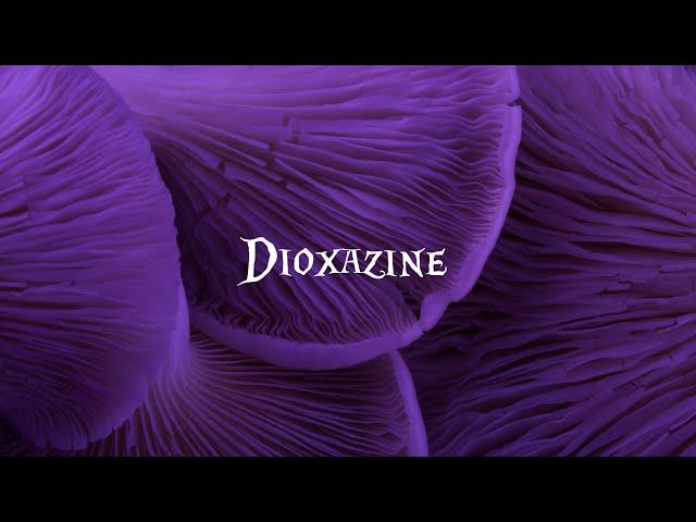 DIOXAZINE | A Righteous Robot Short Short