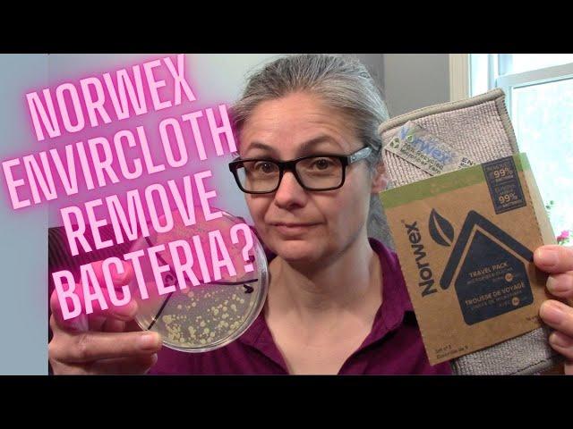 Can you Remove Bacteria by Using Only Water??  I Tested the Norwex Envirocloth with Petri Dishes!