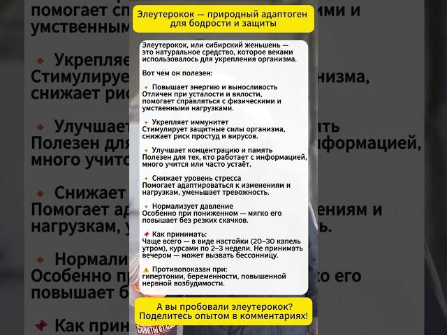 Элеутерокок — природный источник энергии и защиты для организма