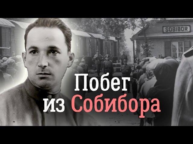 Лейтенант Печерский из Собибора. Как антифашистское лагерное восстание увенчалось успехом