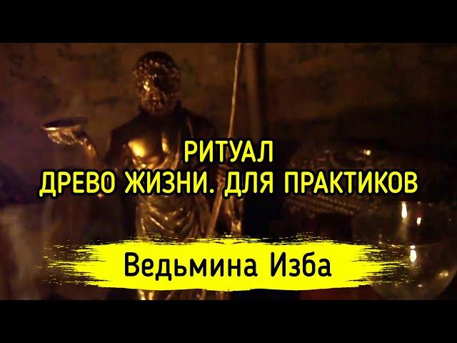 ДРЕВО ЖИЗНИ. ДЛЯ ПРАКТИКОВ. ВЕДЬМИНА ИЗБА ▶️ МАГИЯ