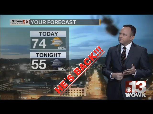 HOLY SPIDER! SCREAM!   WOWK 13 Charleston, Huntington WV News, Weather, Sports