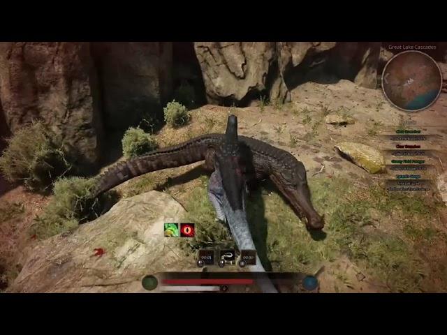 Hunting A Crocodile - Alio vs Sarco - Path Of Titans Gameplay