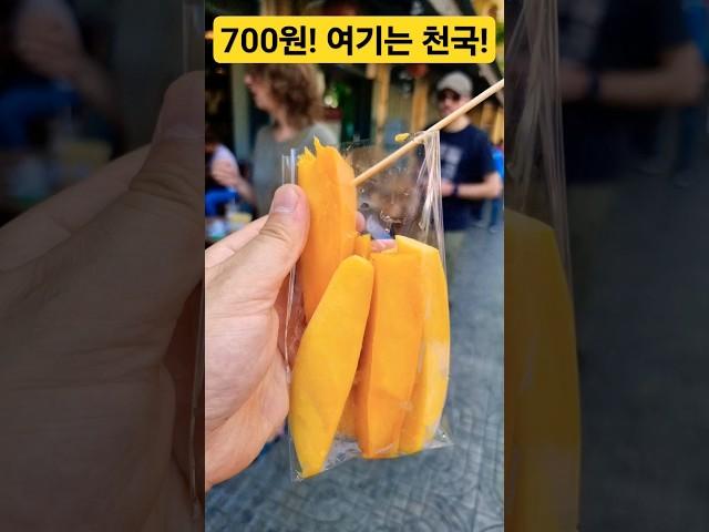 700원! 과일 천국이네! #시장 #폭락 #할인 #먹방 #세일 #요리 #먹거리
