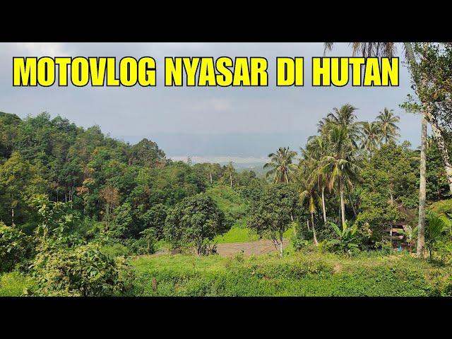 Motovlog nyasar ke dalam hutan