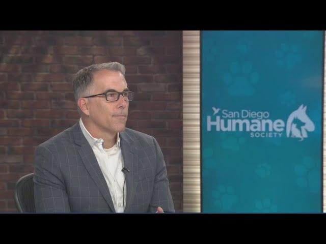 How the San Diego Humane Society is handling budget cuts