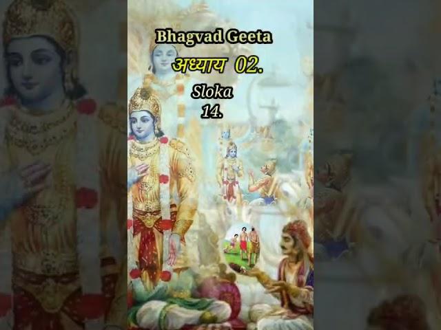 Bhagvad Geeta. Chapter 02. Sloka 14.