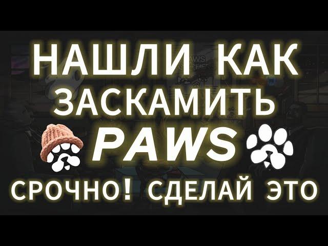 НОВЫЕ УСЛОВИЯ ДРОПА PAWS! СДЕЛАЙ ЭТО ЧТОБЫ ПОЛУЧИТЬ AIRDROP ТОКЕНА ПАВС ЛИСТИНГ НА БИРЖУ КРИТЕРИИ