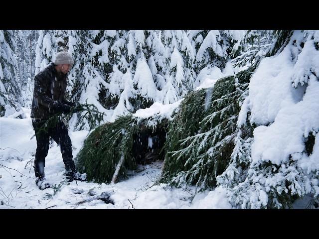 Building a Shelter to Survive HEAVY SNOW:  3 Days Bushcraft Adventure in a Frozen Forest