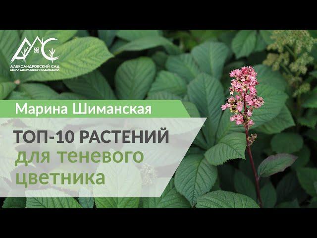 Топ-10 растений для тенистого цветника