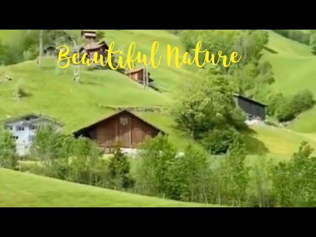 Beautiful Nature | mitch c vlog #nature #beautifulplace