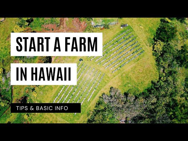 START A FARM IN HAWAII | Tips & Basic Information