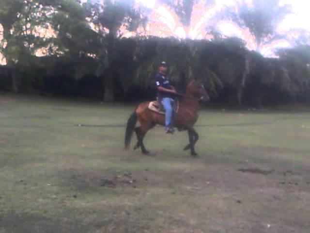 Pinchao 1.MP4