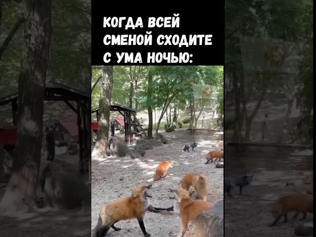 Дурка #мед #medicine #медицинскиеприколы #студенты #универ #медсестра #врач #операция #больница