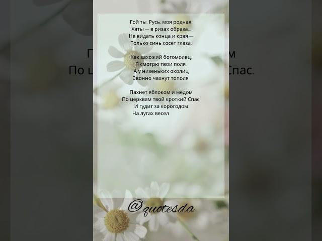 Гой ты, Русь, моя родная… (Есенин) #shorts