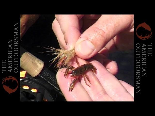 Fly Fishing the White River