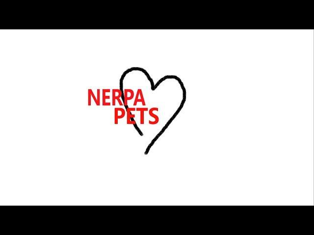 трейлер к каналу NERPA PETS #1