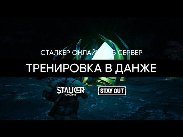 Тренировка в данже ПАУКАНа. Сталкер Онлайн Stalker Online Stay Out ЕКБ сервер.