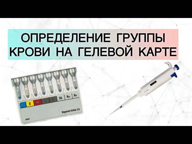 Определение группы крови на гелевой карте