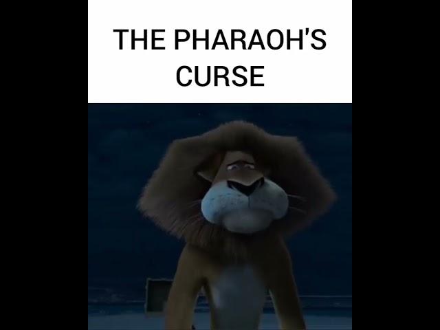 The pharaohs curse