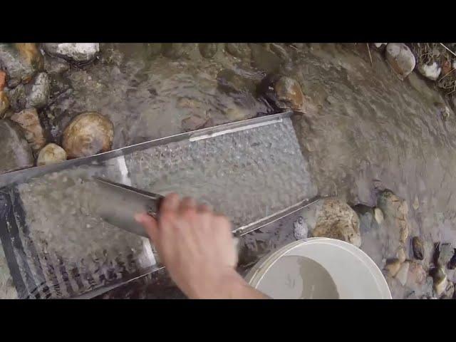 Gold prospecting for beginners, watch and learn.