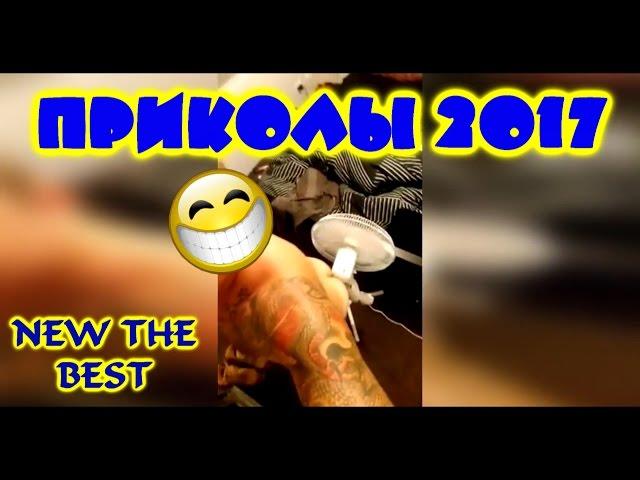 ПРИКОЛЫ Happy Smile Cat #18 the best Свежие угарные ВИДОСИКИ ДЛЯ ТЕБЯ  Лучшие Подборки ПРИКОЛОВ