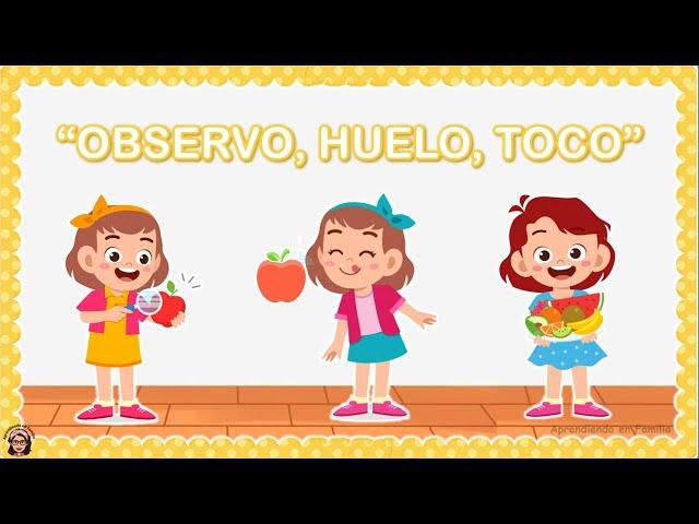 OBSERVO, HUELO, TOCO - SEMANA 29 (Recurso Aprendo en Casa) / Aprendiendo en Familia 