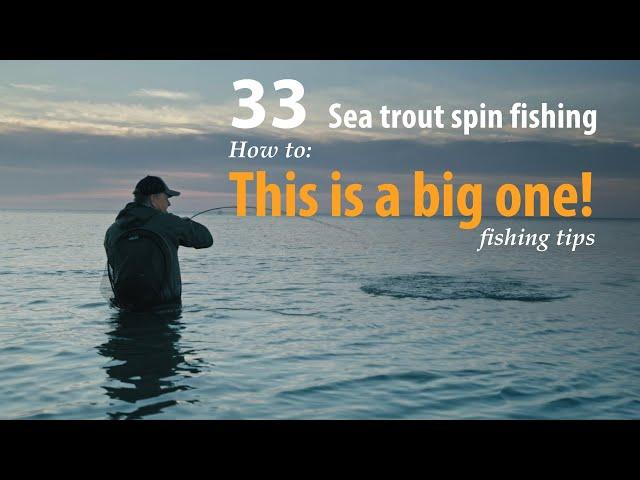 How to • Sea trout - Spin fishing • Morning - and nice sea trout • fishing tips