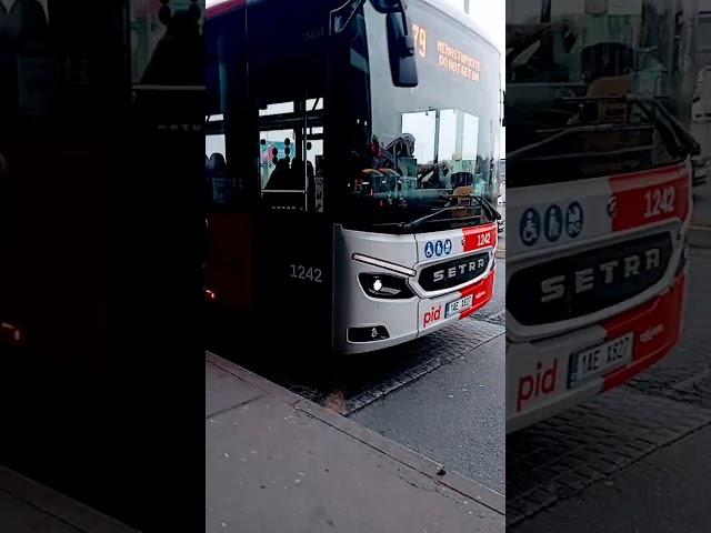 Setra