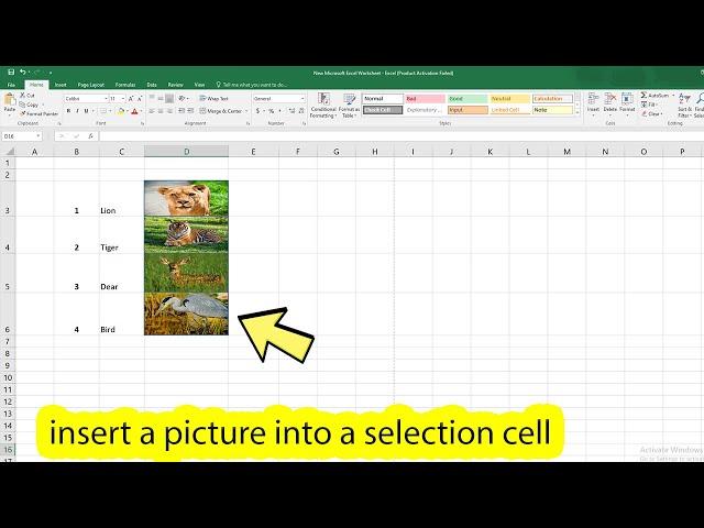 How to insert image in excel cell