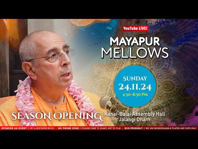 Full Live Stream – Mayapur Mellows – 24th November 2024 – SEASON OPENING!!!