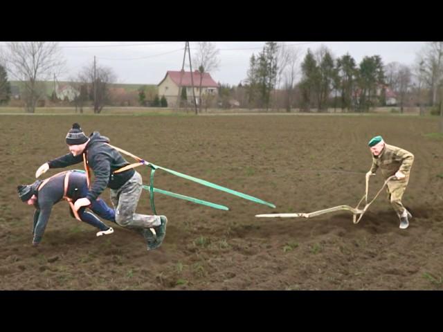 STRONGMANI silni jak KOŃ? Starym PŁUGIEM orali POLE