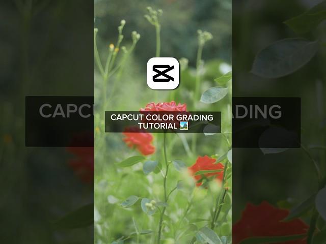 CC Color Grading Tutorial | CapCut Color Grading Tutorial | #capcuttutorial #colorgrading